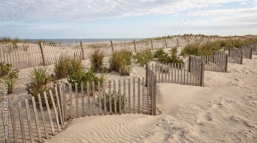 Sand dunes and fences protecting coastal erosion along a tranquil beach with ocean in the background