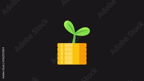 Finance growth concept animation.  Capital growth analogy with plant growth in coins. Transparent 4K
