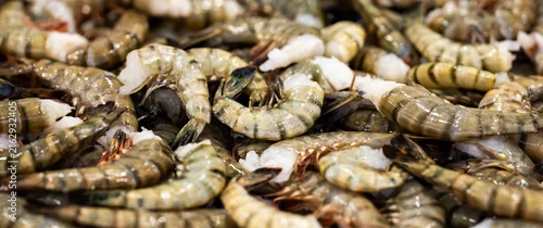 Obraz  z motywem Raw shrimp pile. Raw seafood closeup. Raw shellfish texture. Raw prawn shell.