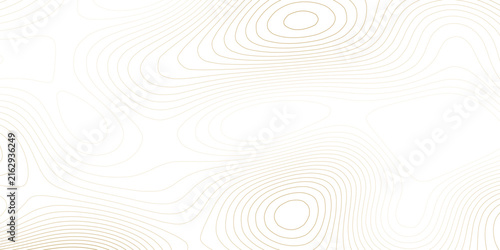 Картината върху платно Detailed white and grey topographic terrain background