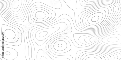 Фотография White and grey contour map background