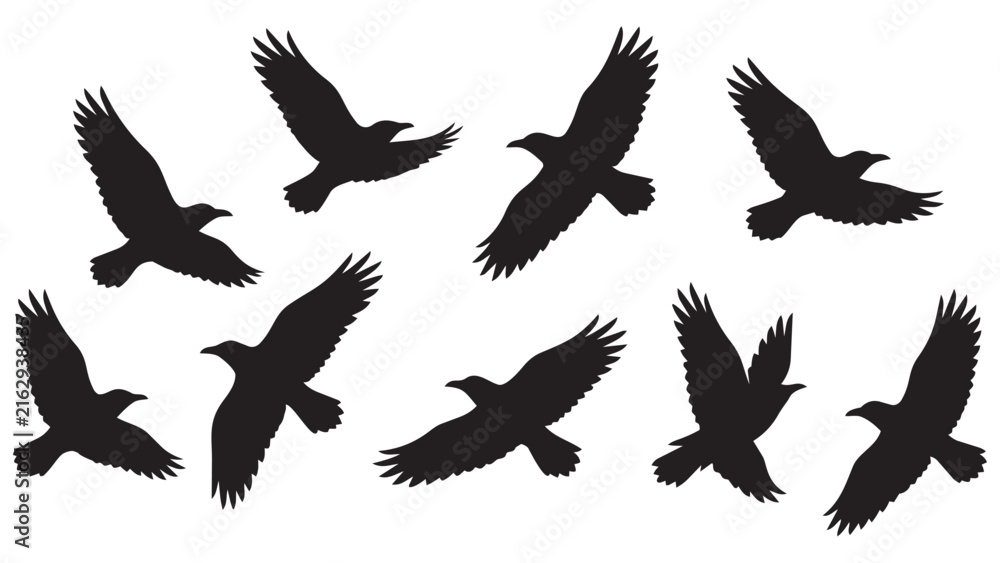 Fototapeta premium Set of Ten Black Silhouette Birds Flying in Various Dynamic Poses for Vector Design, Logo, Illustration, and Branding Projects