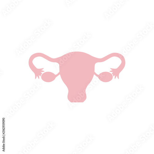 Uterus silhouette a pink anatomical illustration on a white background