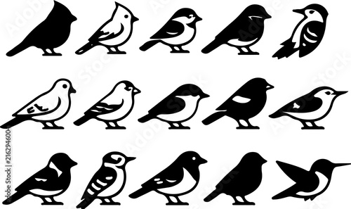 Fotografie Collection of different bird silhouettes and vector icons set with silhouette