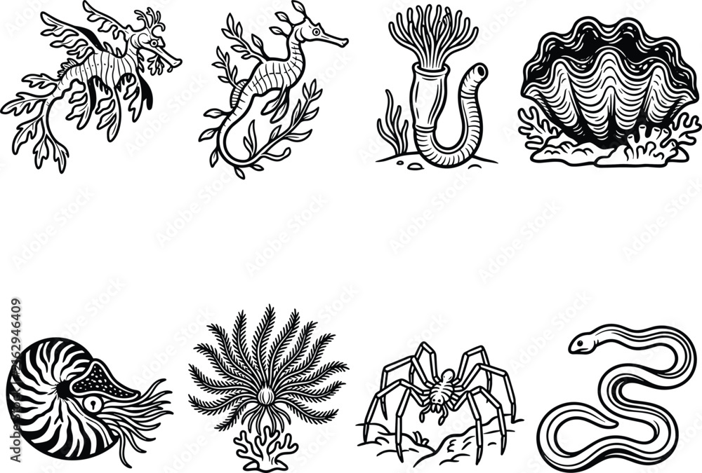 Fototapeta premium Marine Life Silhouette Vector Collection Featuring Ocean Animals and Sea Creature Illustrations Set