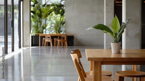 Modern Interior Design with Natural Light and Green Plants.