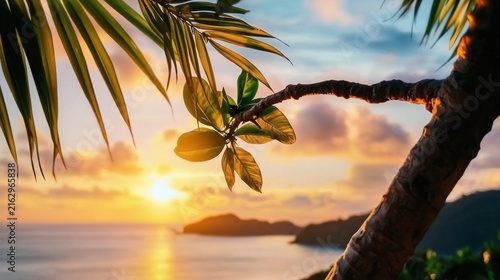 Tropical Sunset Over Ocean with Palm Tree Leaves and Fruit.