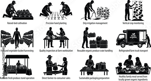 Vector silhouette set of organic farm to table process including cultivation harvesting transport and healthy family meal