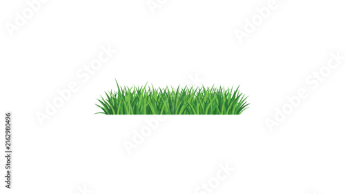 Lush Green Grass Patch Illustration