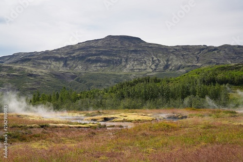Canvastavla Haukadalur is a famous geothermal valley in southern Iceland.