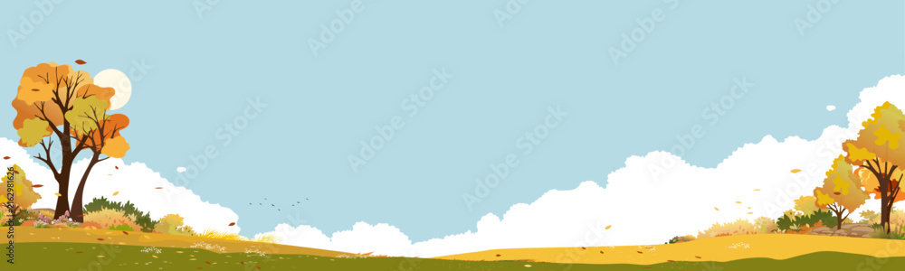 Fototapeta premium Autumn Landscape and Fall Tree on Blue Sky, Cloud Background. Nature Scene With Orange Forest, Grass And Sun, Vector Horizon Nature Illustration village Grass Fields, Seasonal Design Colorful Scenery