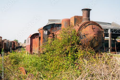 Canvas Print Locomotive à vapeur rouillée envahie par la végétation dans un dépôt ferroviaire