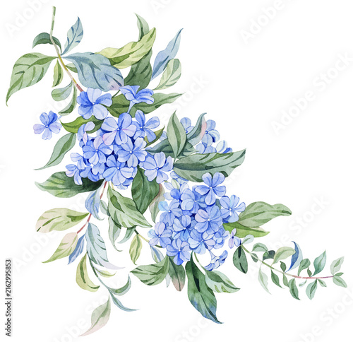 Konstfotografi Watercolor Plumbago Auriculata Flowers Element