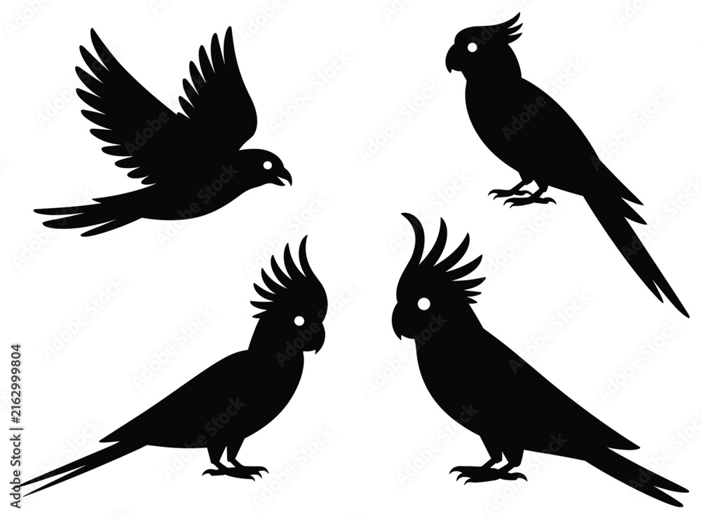 Fototapeta premium Black bird silhouettes depict various poses against a white background