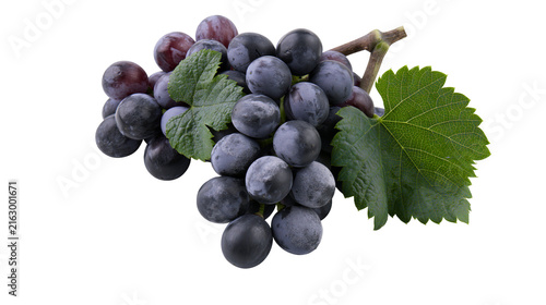 Dark blue grapes with green leaves on stem
