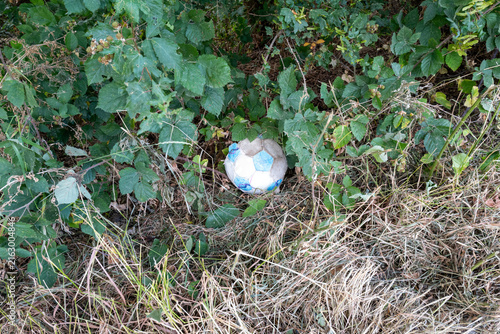 Photography Ball hidden in wild overgrown vegetation, symbolizing forgotten moments