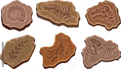 PrintPrehistoric Fossils Vector Set with Cartoon Dinosaur Skeleton Bones Ammonite Shell and Ancient Plant Imprints in Stone