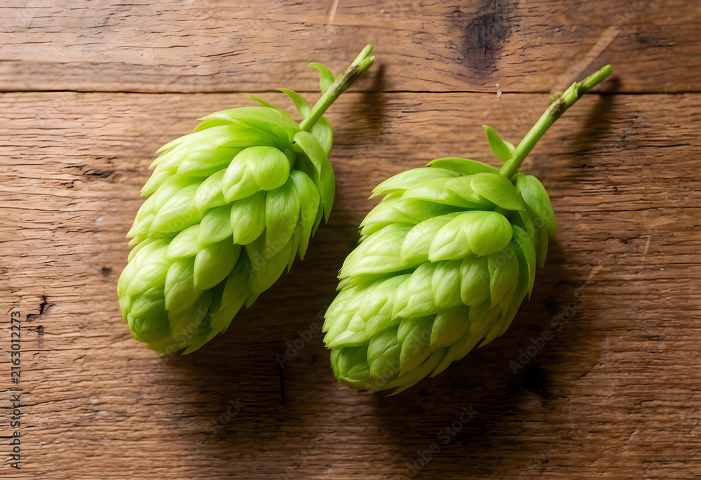Fototapeta premium Fresh green hops for brewing beer, natural ingredients and craft beverage production on rustic wooden background
