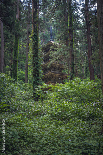 山形 羽黒神社 杉木立の中の五重塔