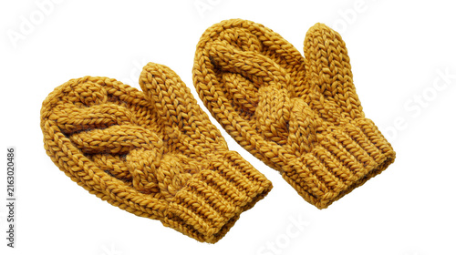 Obraz na płótnie Chunky knit mittens with cable pattern in mustard yellow