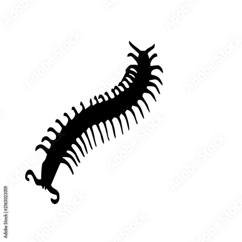 Black silhouette of a centipede on a white background