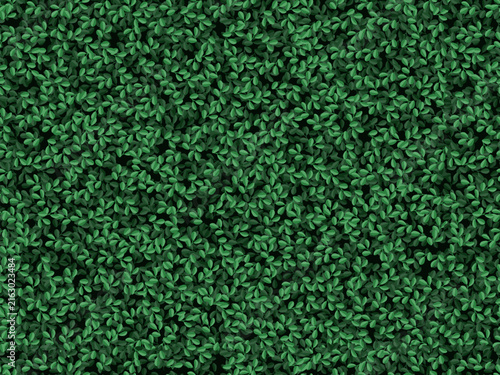Seamless green bush leaves pattern. Realistic garden foliage texture, boxwood hedge background, natural tree leaf wall vector illustration. Public park and garden element