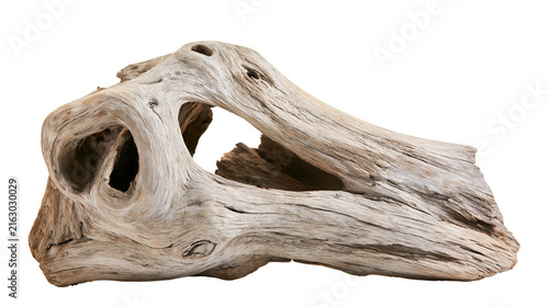 Gnarly weathered driftwood with large holes and textured surface