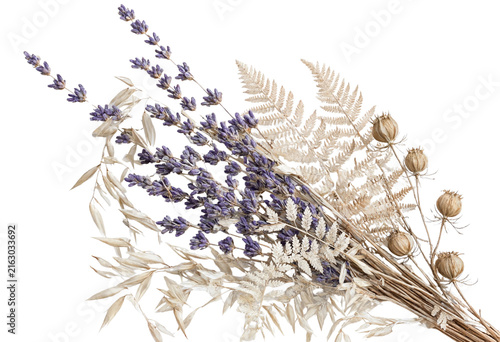 Dried lavender, oat grass, fern, and seed pod botanical tied isolated on transparent background