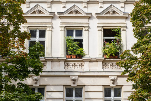 Plants on windowsills