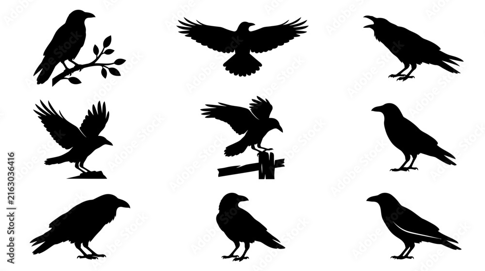 Naklejka premium Set of Detailed Crow and Raven Silhouettes in Various Poses for Nature and Gothic Design Projects