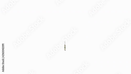 Open Shop Storefront 2D Flat Animation