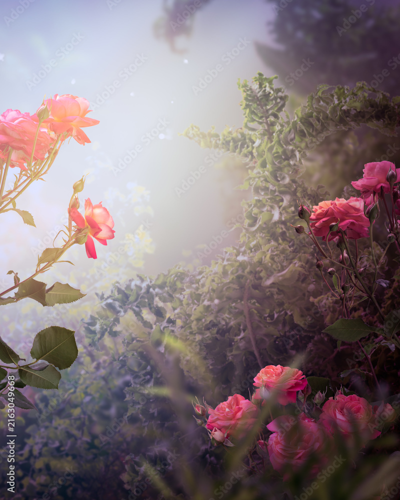 Fototapeta premium Fantasy whimsy vertical background with blooming pink rose flowers in fairy tale magical garden, fairytale glade wallpaper, amazing magic tranquil misty landscape template, scene with copy space.