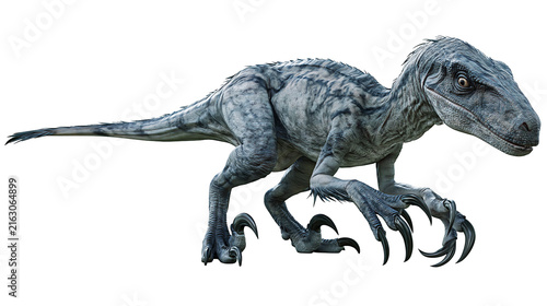 Foto Blue gray velociraptor dinosaur with sharp claws