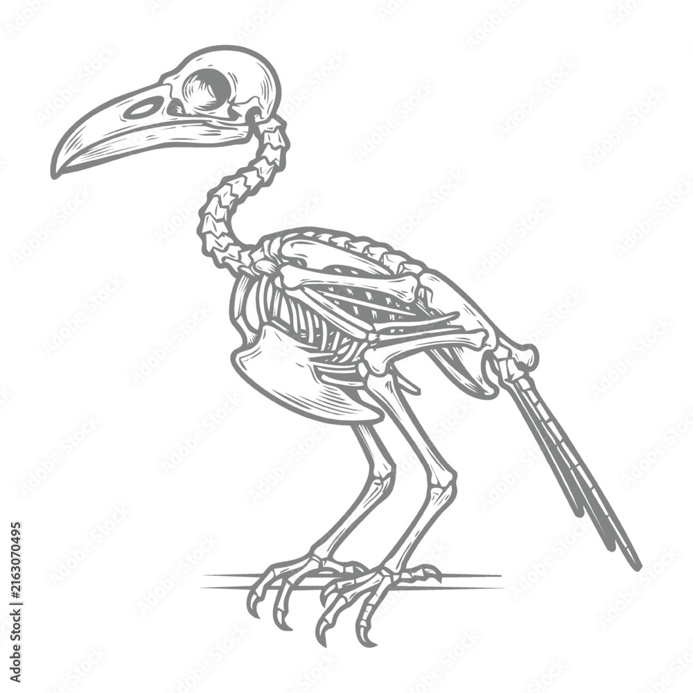 Naklejka premium Bird Skeleton Perched on Branch Engraving Style Illustration