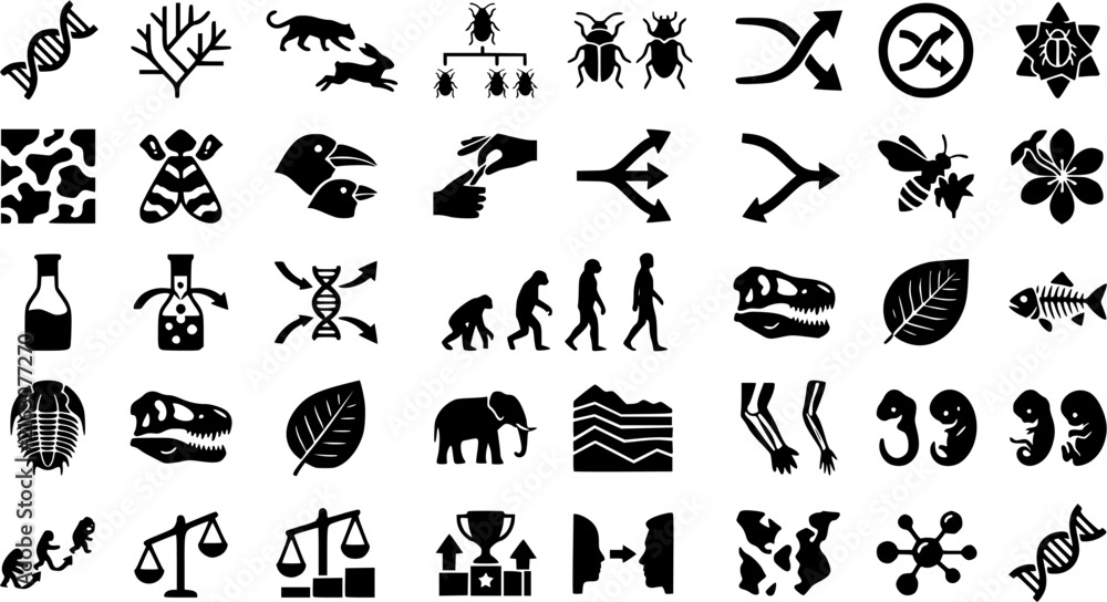 Fototapeta premium Evolution & Natural Selection Silhouette Icon Set. Collection of biology & life science silhouettes, including evolution, natural selection, species adaptation, Darwin theory, and more.