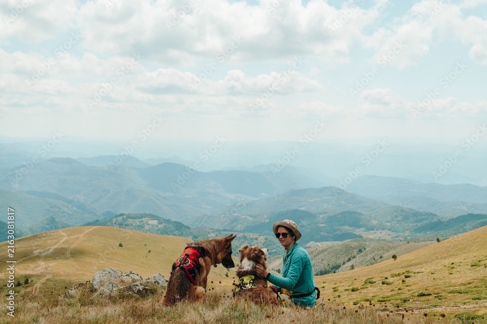 Obraz premium A woman rests beside a German Shepherd and an Australian Shepherd on a grassy mountain ridge in Kopaonik, Serbia. Wide valleys stretch into the distance