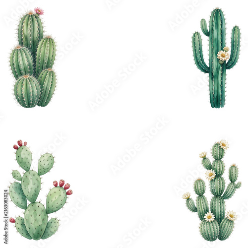 cactus