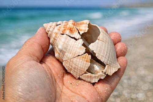 A person collecting shells on a sunny day at the beach, great for travel or leisure use