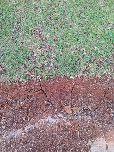 Принти на полотні Lush green grass bordering dry cracked earth showing environmental contrast and