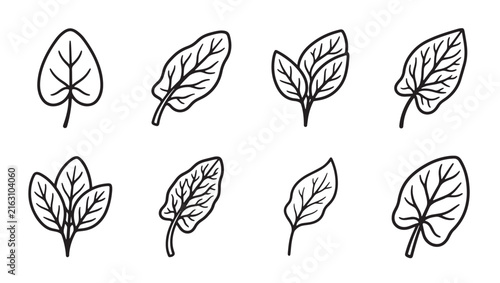 Set of various green leaves and foliage outline graphic icons with botanical collection illustration isolated environment gardening woodland