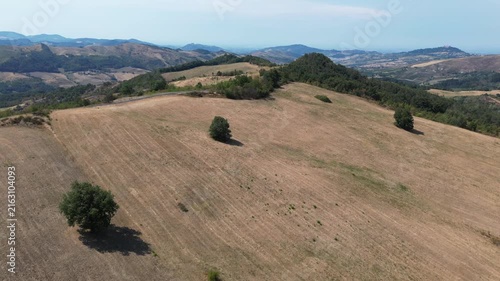 Europe, Italy, Lombardy, Pavia, Montù Berchielli – drone view of the Oltrepò Pavese hills; drought and water shortages lead to an early grape harvest for wine production. Global warming and climate ch