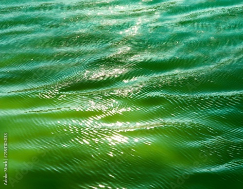 rippling green water with dappled light reflecting on the surface and depths