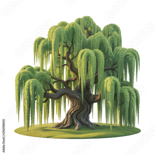 Serene weeping willow tree with lush green leaves and twisted trunk