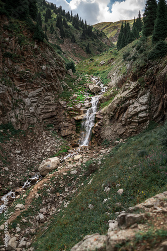 Rocky Alpine Mountain Stream Flowing Through Conifer Forest
