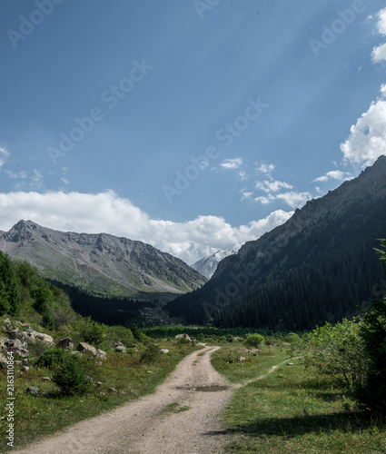 Rocky Alpine Mountain Stream Flowing Through Conifer Forest
