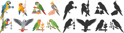 Colorful Parrot Illustration Collection with Bird Toys Activities and Black Silhouette Vector Set