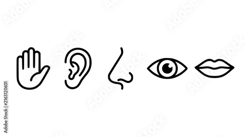 Five human senses icons representing touch hearing smell sight and taste