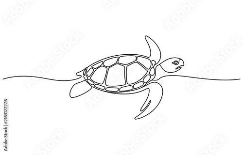 Continuous single line drawing of a sea turtle swimming in the ocean Vector, illustration