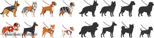Dog Breeds Walking Collection with Color Illustrations and Black Silhouette Vector Set