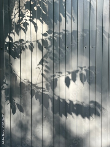 Shadow of tree leaves on gray corrugated metal wall background